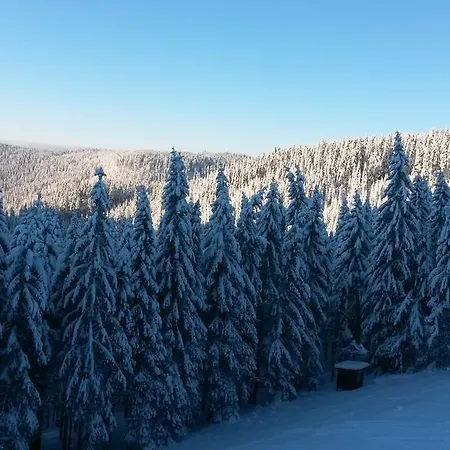 Cihlářská Bouda, 307