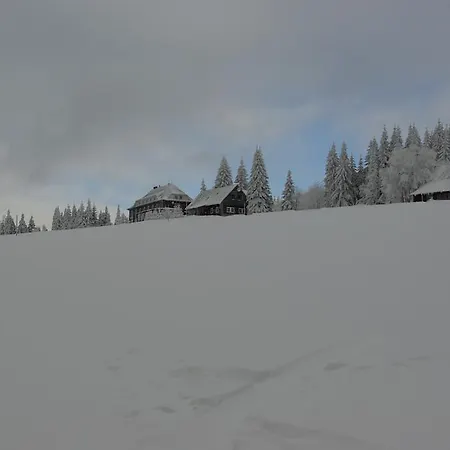 Cihlářská Bouda, 307 * Černý Důl