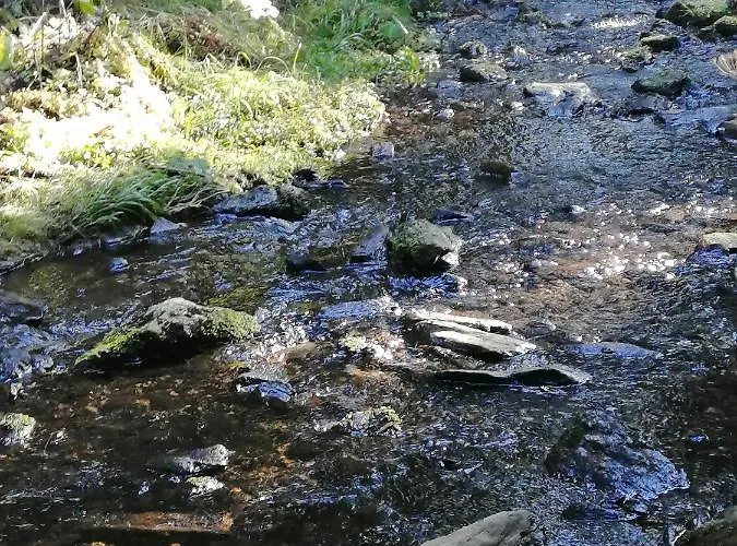 Cihlarska Bouda, 307 * Černý Dŭl