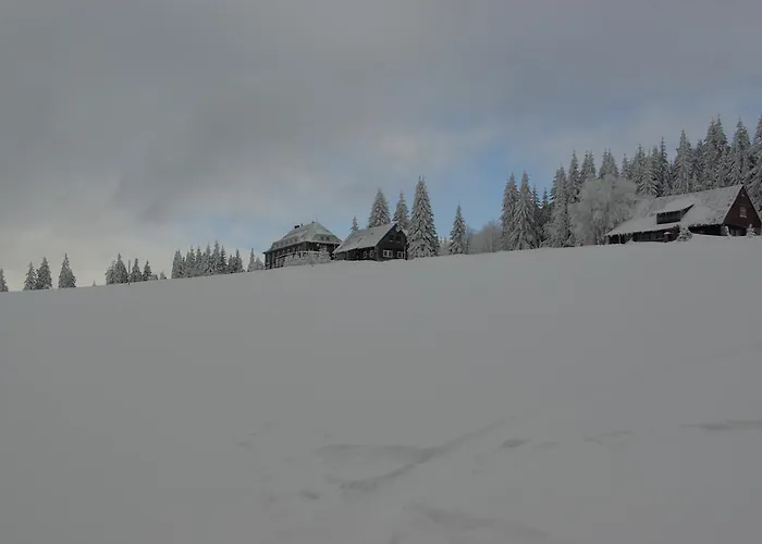 Cihlarska Bouda, 307 * Černý Důl